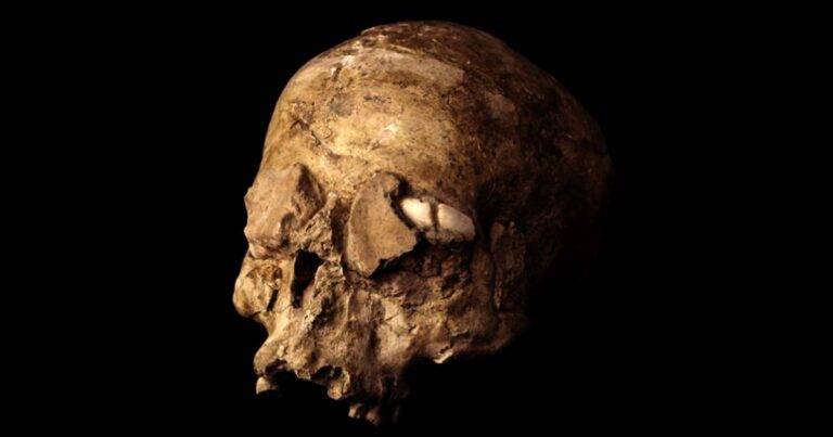 The veneration of skulls is known from other ancient sites such as Jericho, but Tell Qaramel appear to be the earliest, and the site may have much to tell us about the development of human culture. Source: Birmingham Museum and Art Gallery / CC BY-NC-SA 2.0.