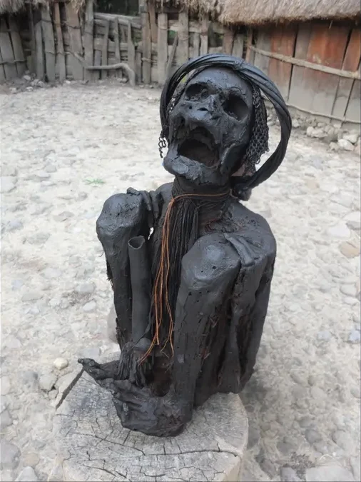 A modern smoke-dried mummy from the Dani people, Papua (Indonesia). (Image credit: Hirofumi Matsumura and Hsiao-chun Hung)
