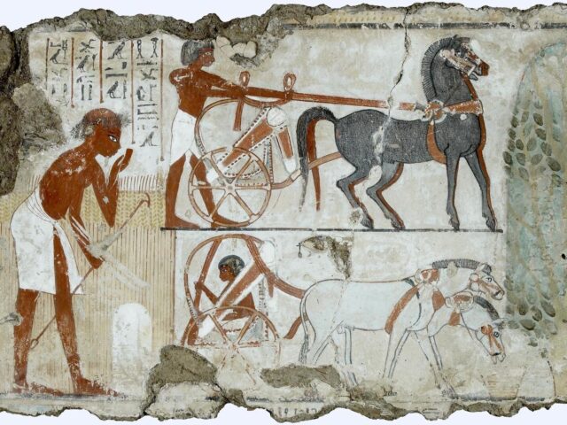 New Kingdom wall painting from the Tomb of Nebamun showing an archer and horse-drawn chariots