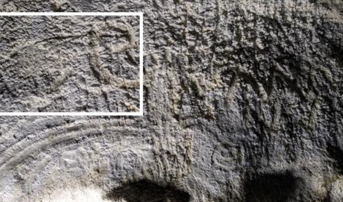 mammoth cave-wall image SW Ireland