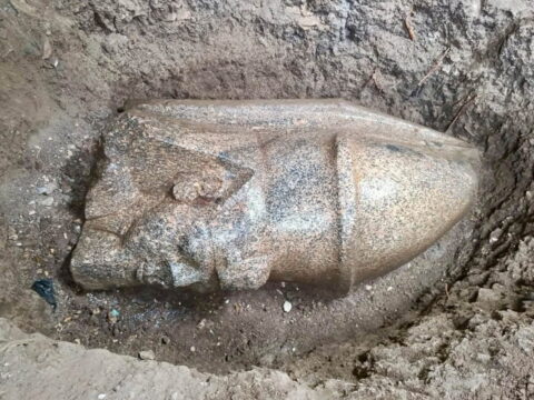 Ramesses II statue head discovered at Behbeit El-Hagar in Egypt