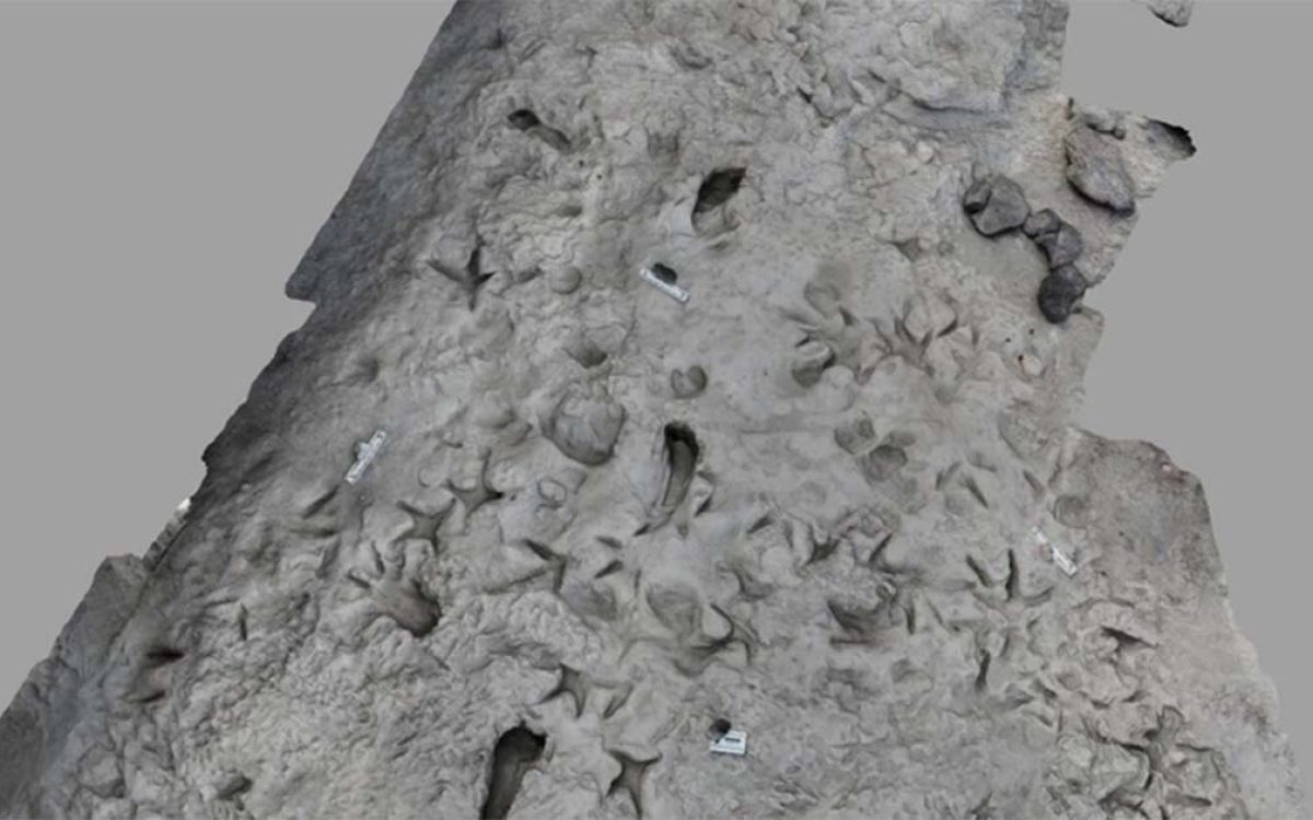 Something strange has been found on the shores of Lake Turkana in Kenya. Two sets of footprints show two different hominin species, apparently coexisting.
