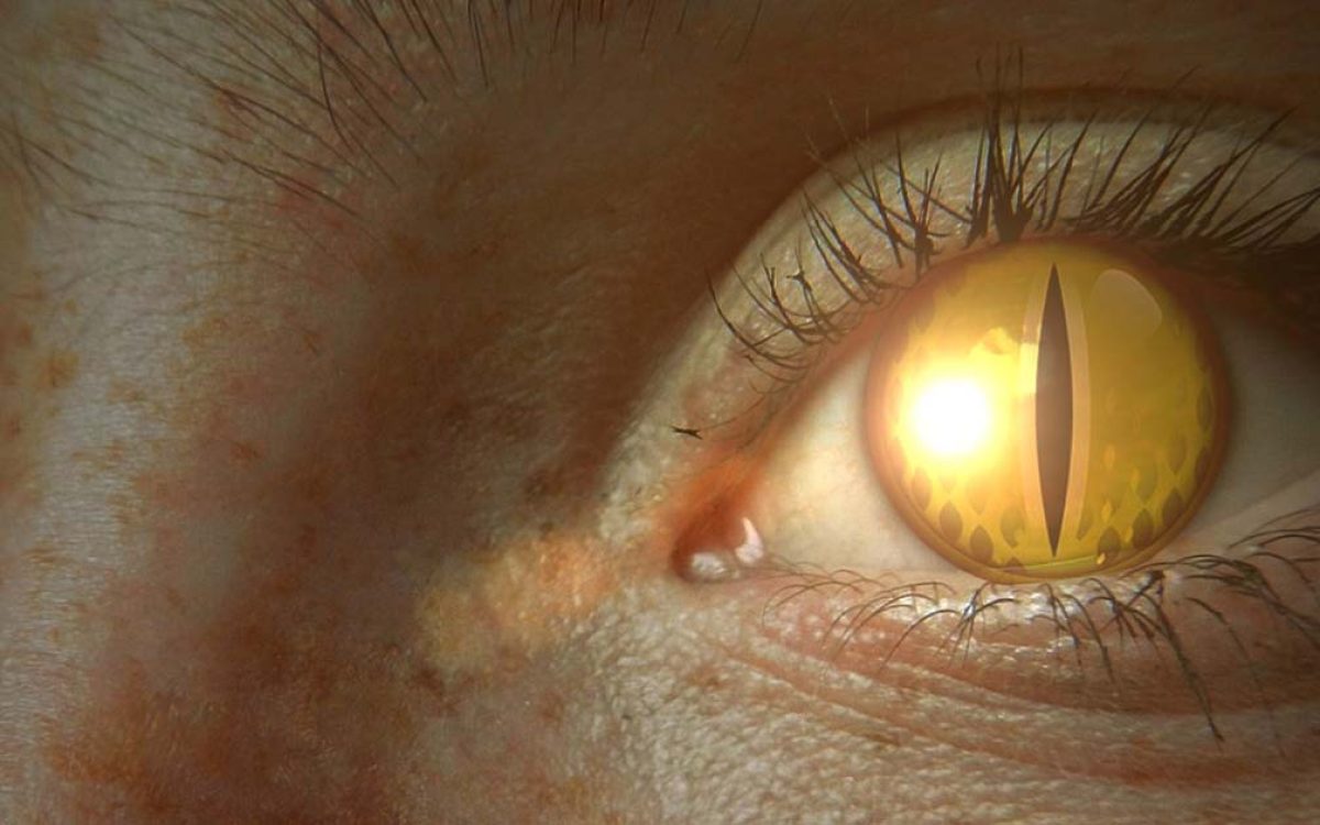 World Mythology Warnings for TODAY #1: The Devil Tyrant of Iran