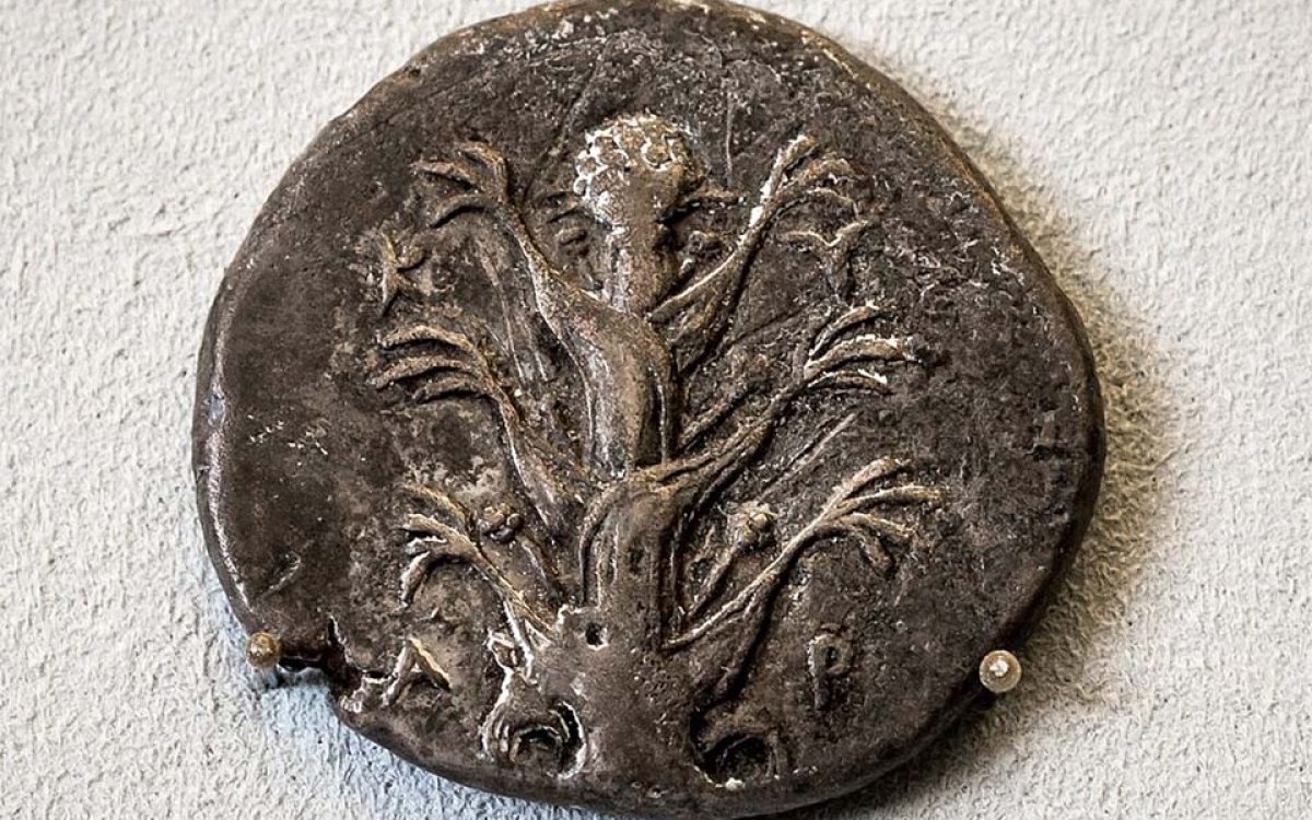 A coin from Cyrene depicting silphium: the plant, which only grew locally to the city, became its chief export. Source: ArchaiOptix / CC BY-SA 4.0.