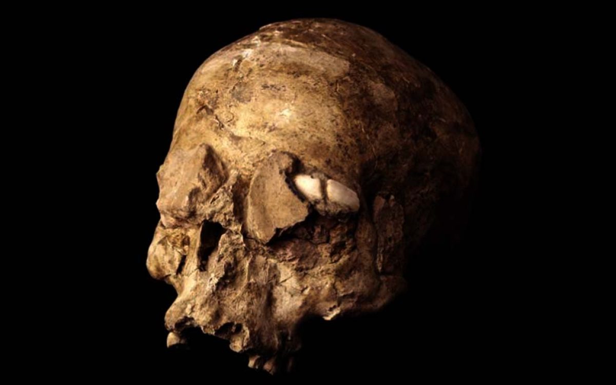 The veneration of skulls is known from other ancient sites such as Jericho, but Tell Qaramel appear to be the earliest, and the site may have much to tell us about the development of human culture. Source: Birmingham Museum and Art Gallery / CC BY-NC-SA 2.0.